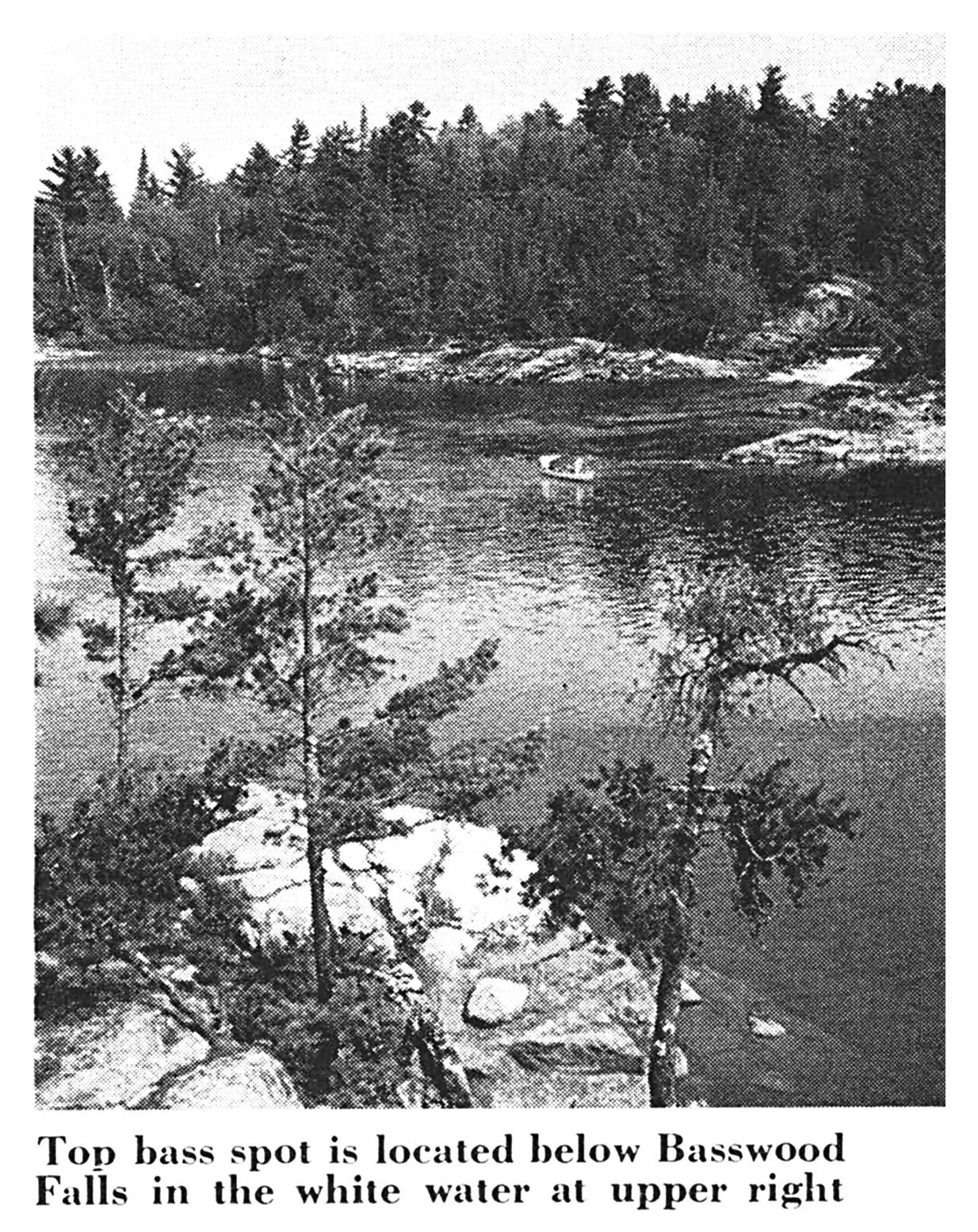 A rocky, pine-lined channel of white water below Basswood Falls, a prime smallmouth spot (black-and-white photo).