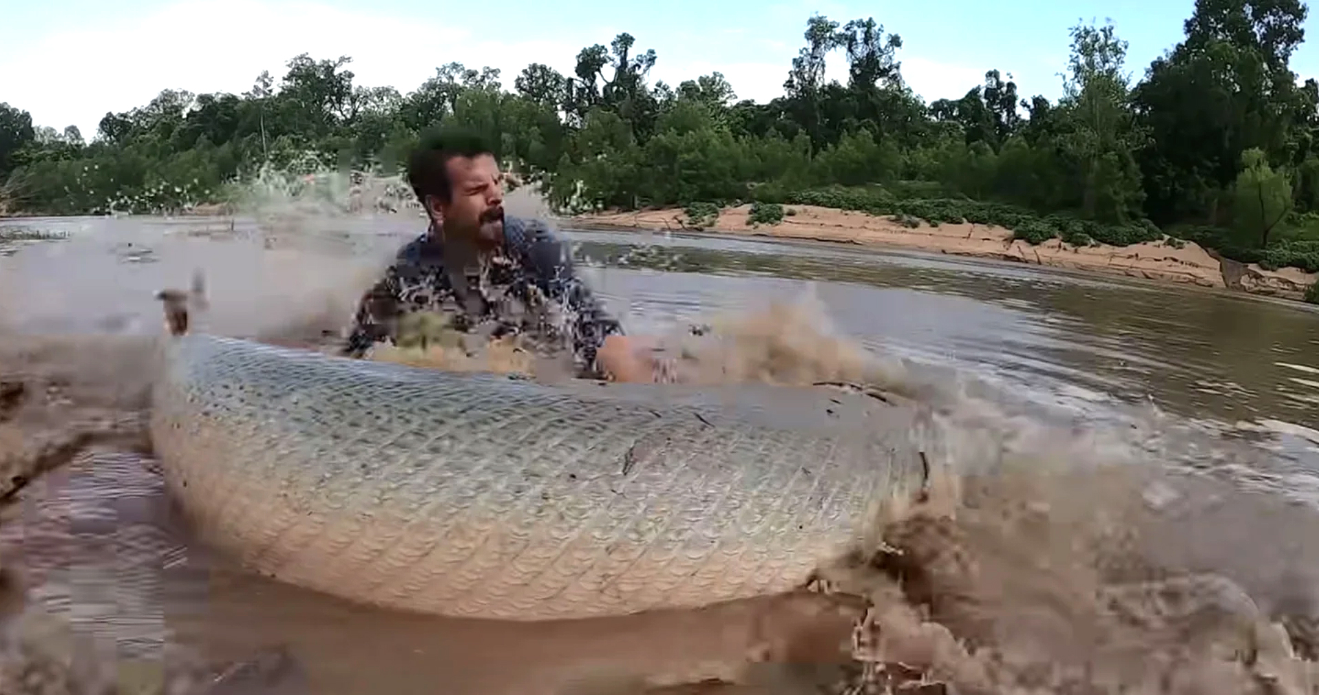 A giant Texas gar.