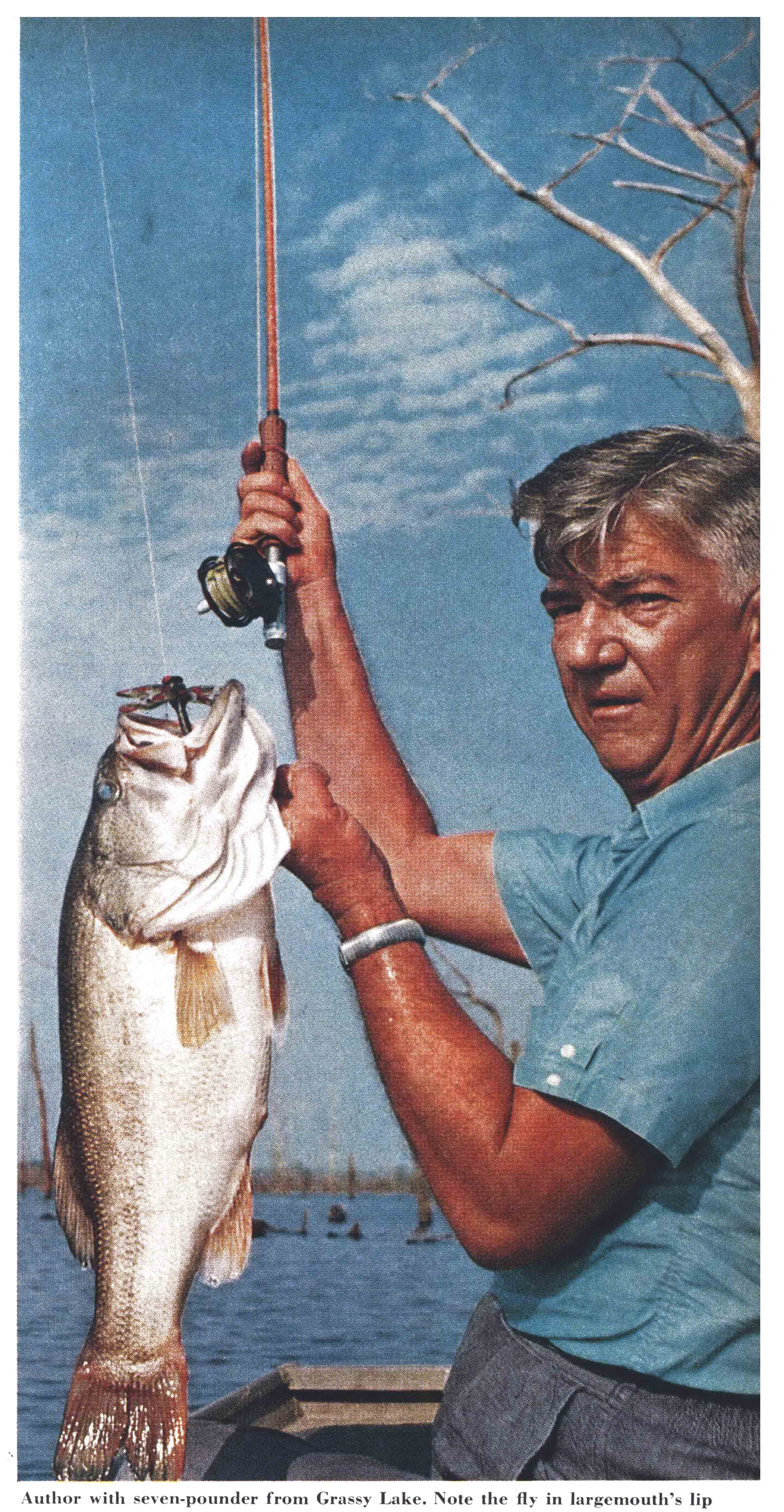 A color photograph of a big bass caught on a dragonfly lure.