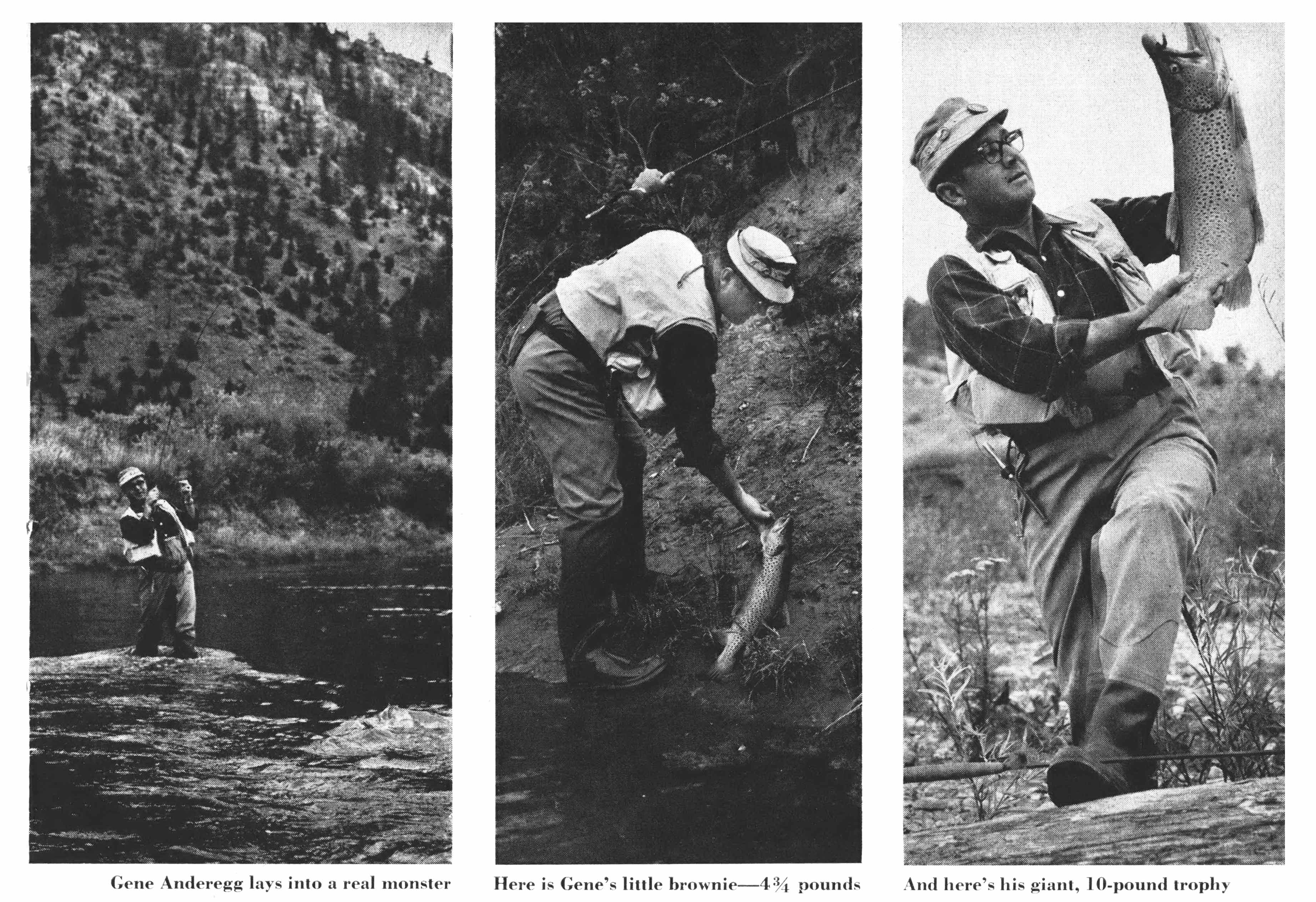 A black and white panel of photographs showing fishermen catchign trout.
