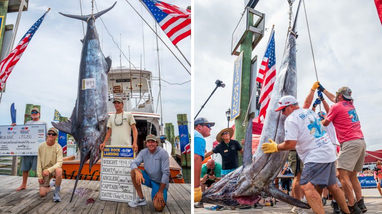 A crew of tournament anglers hoist up a nearly 1,000-pound marlin.