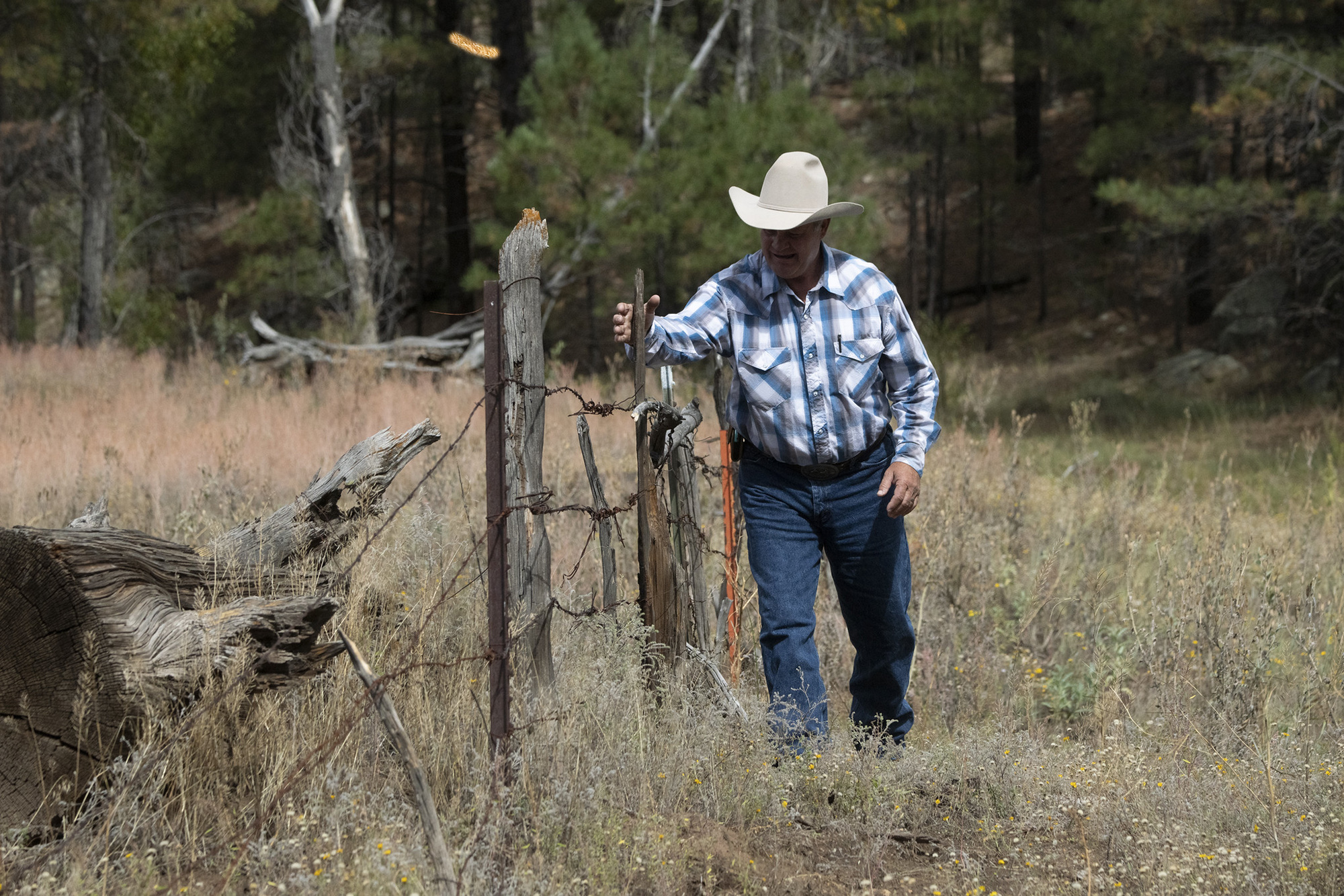 A man checks cattle fencing