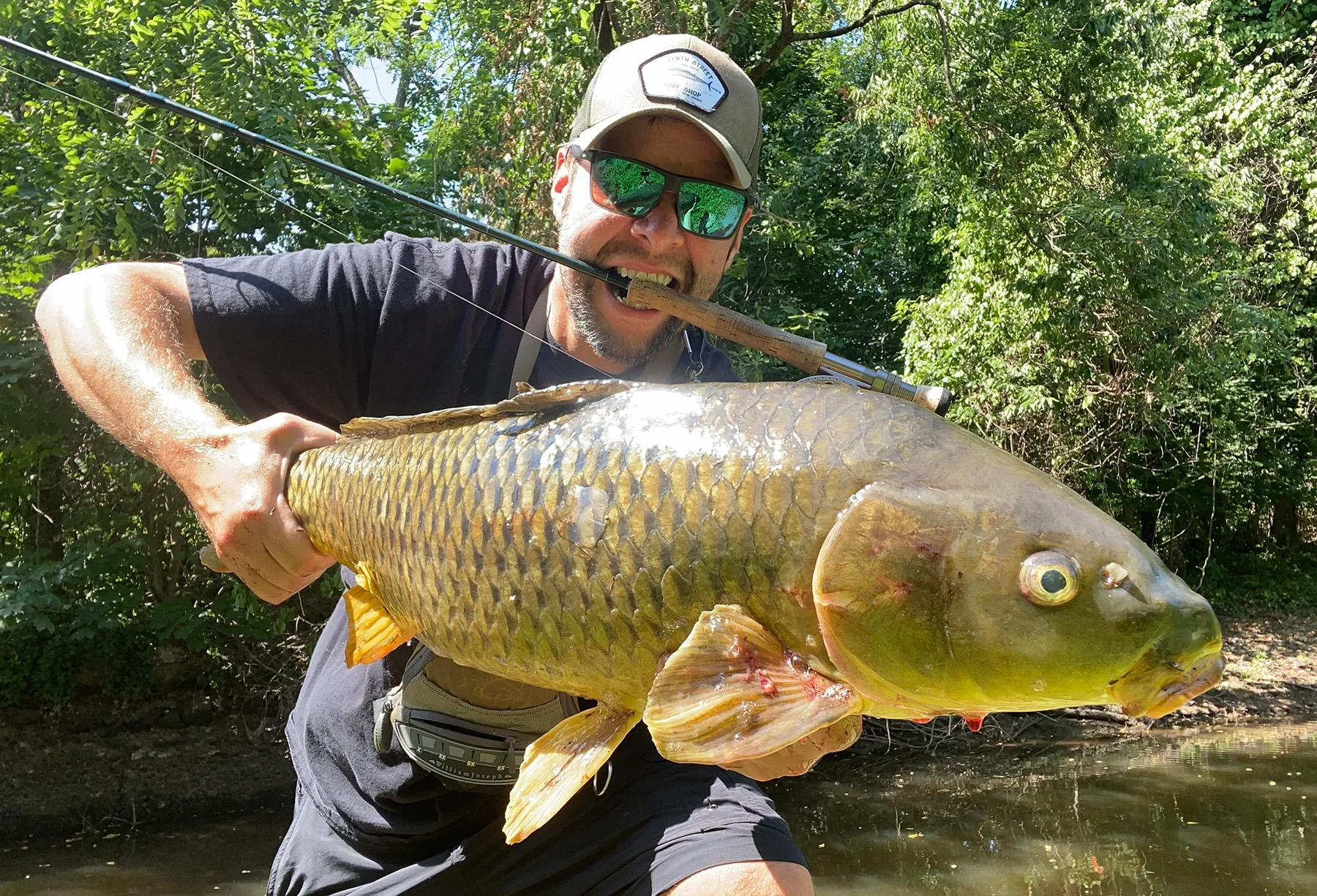 A big yellow common carp caught on the fly rod.