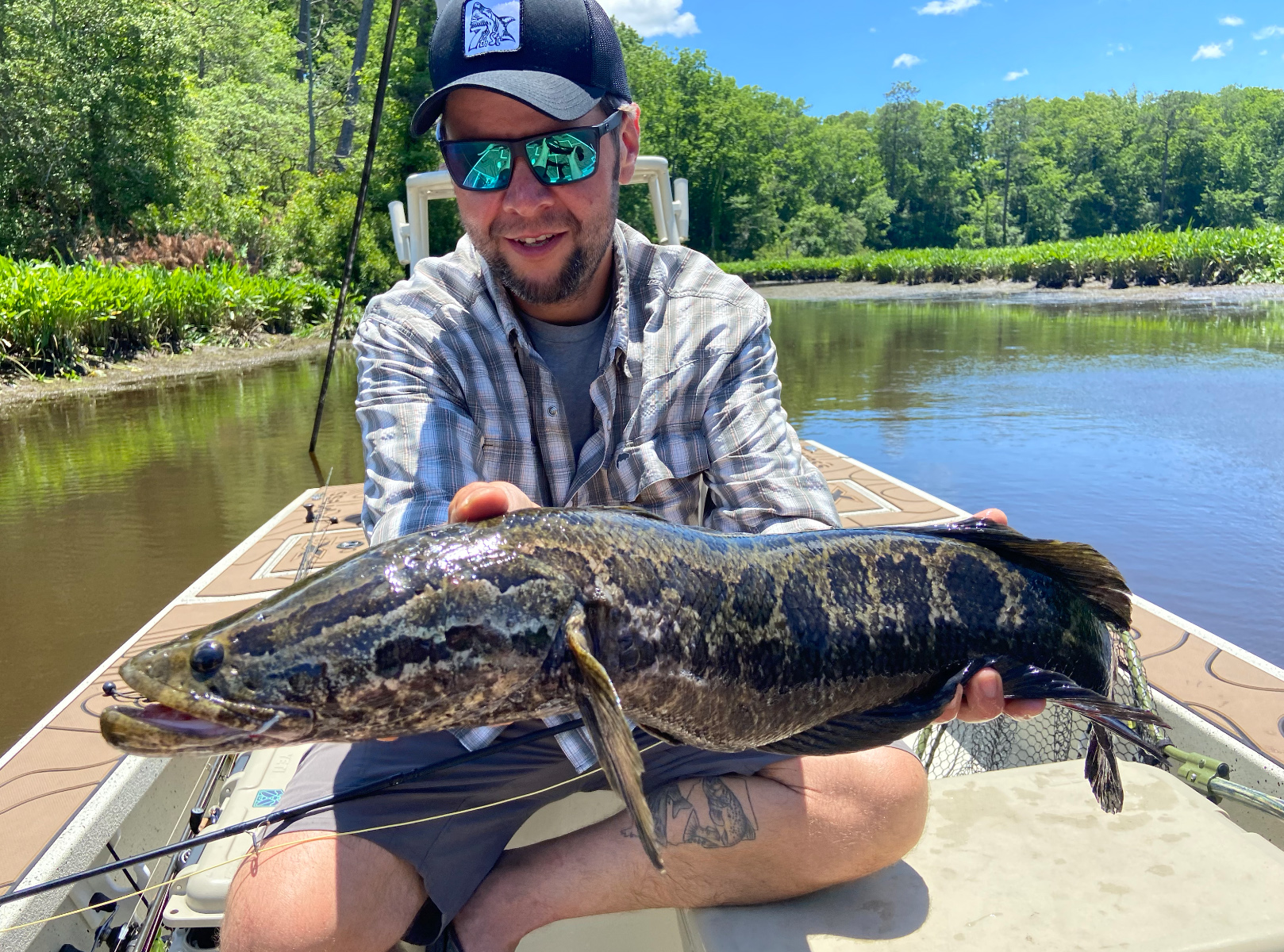 A nice snakehead held up by Joe Cermele.