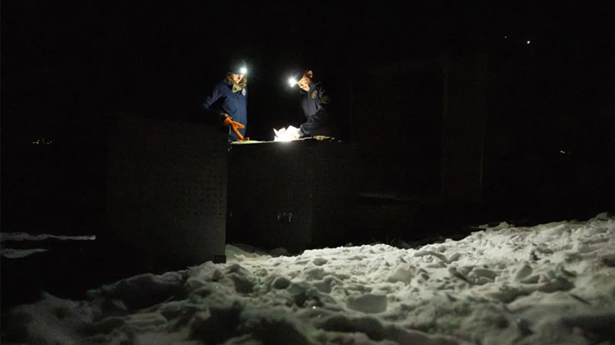 Colorado wildlife officials prepare to release a wolf from a crate.