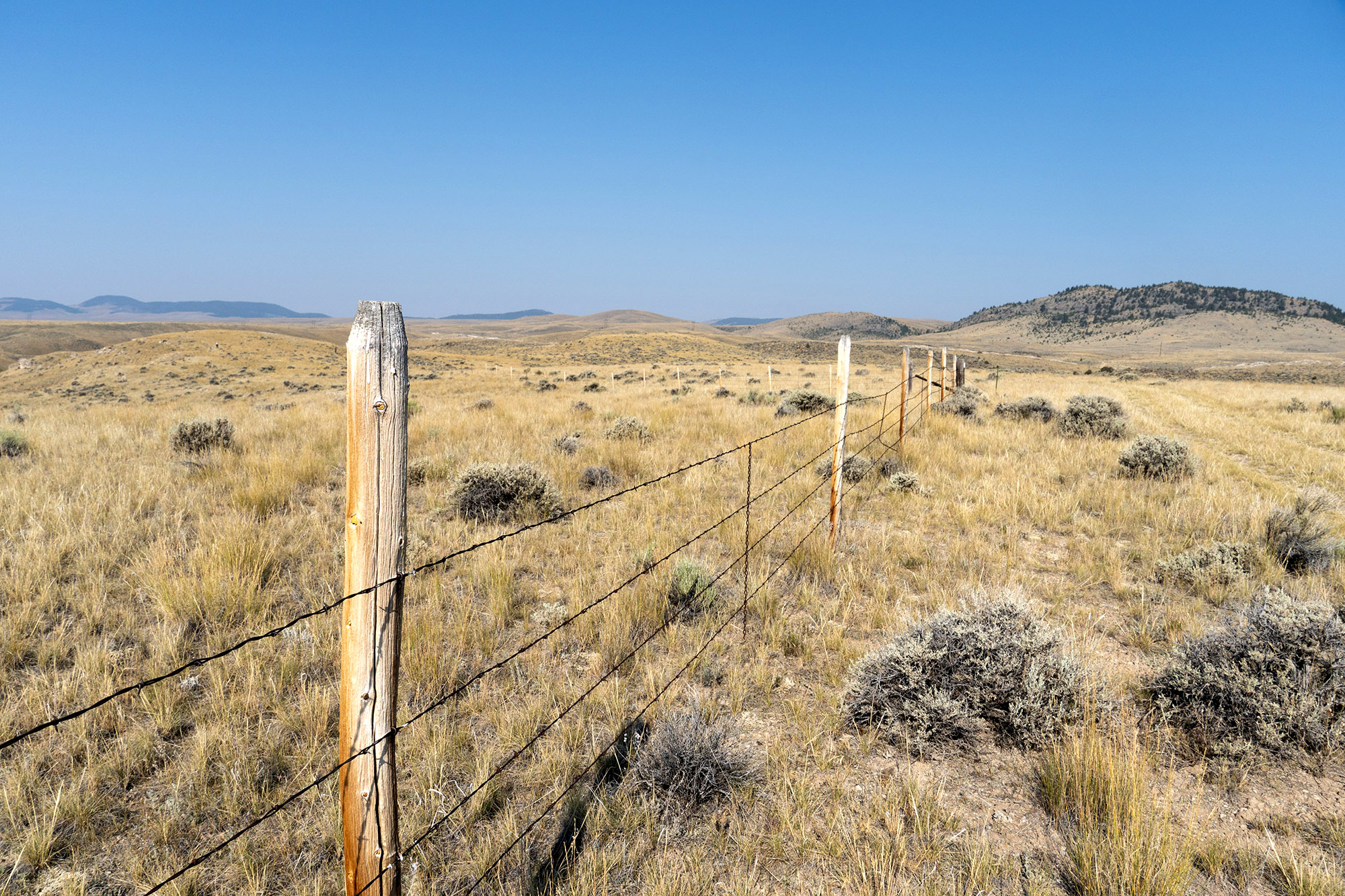 Barbed wire fencing in SW Montana corner crossing