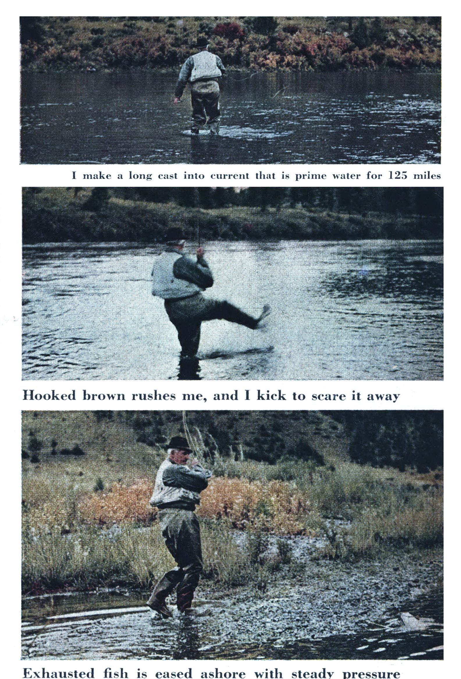 Three color photographs of a fisherman fighting a trout in a river.