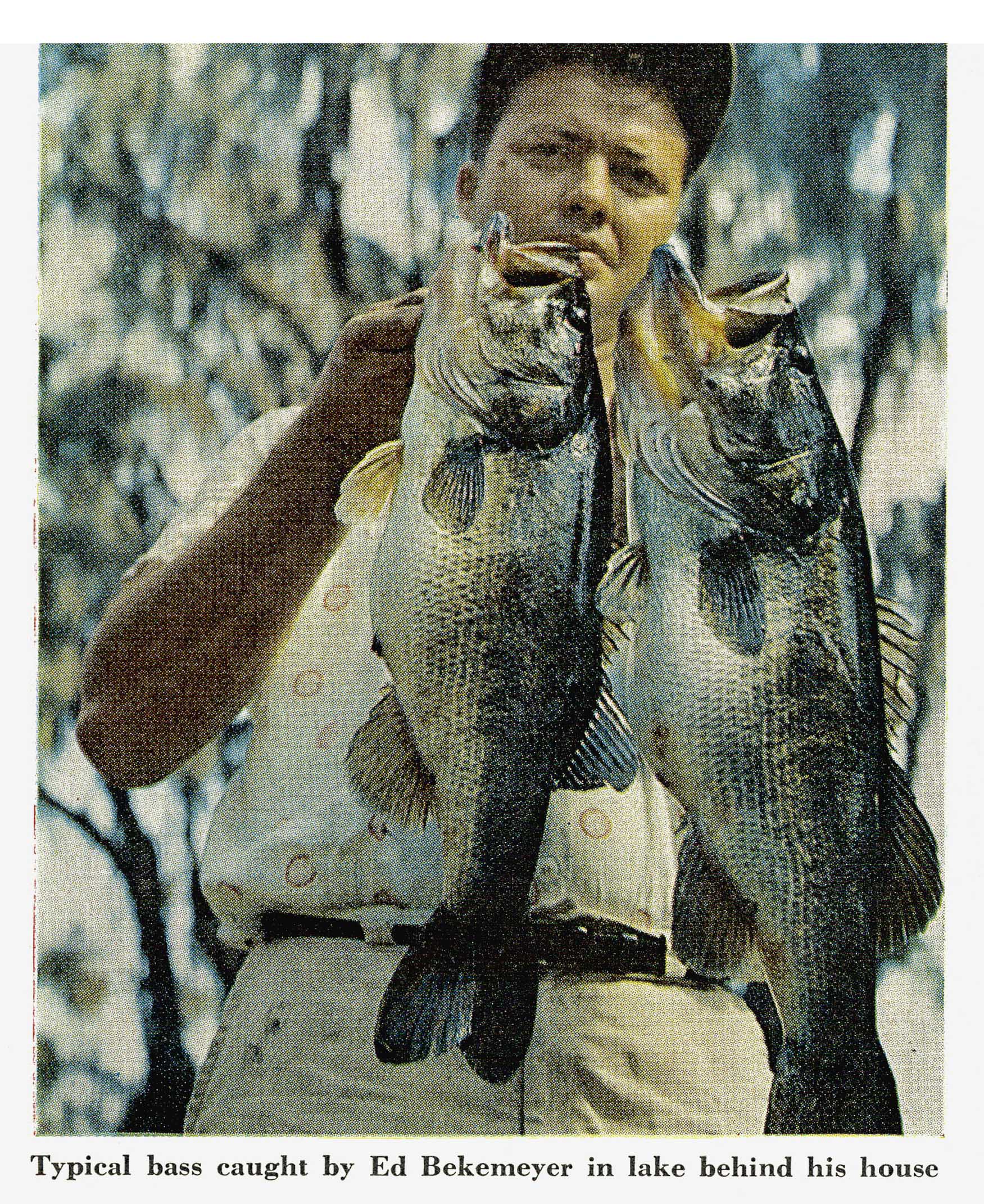 A vintage color film photo of two nice bass caught from a little lake
