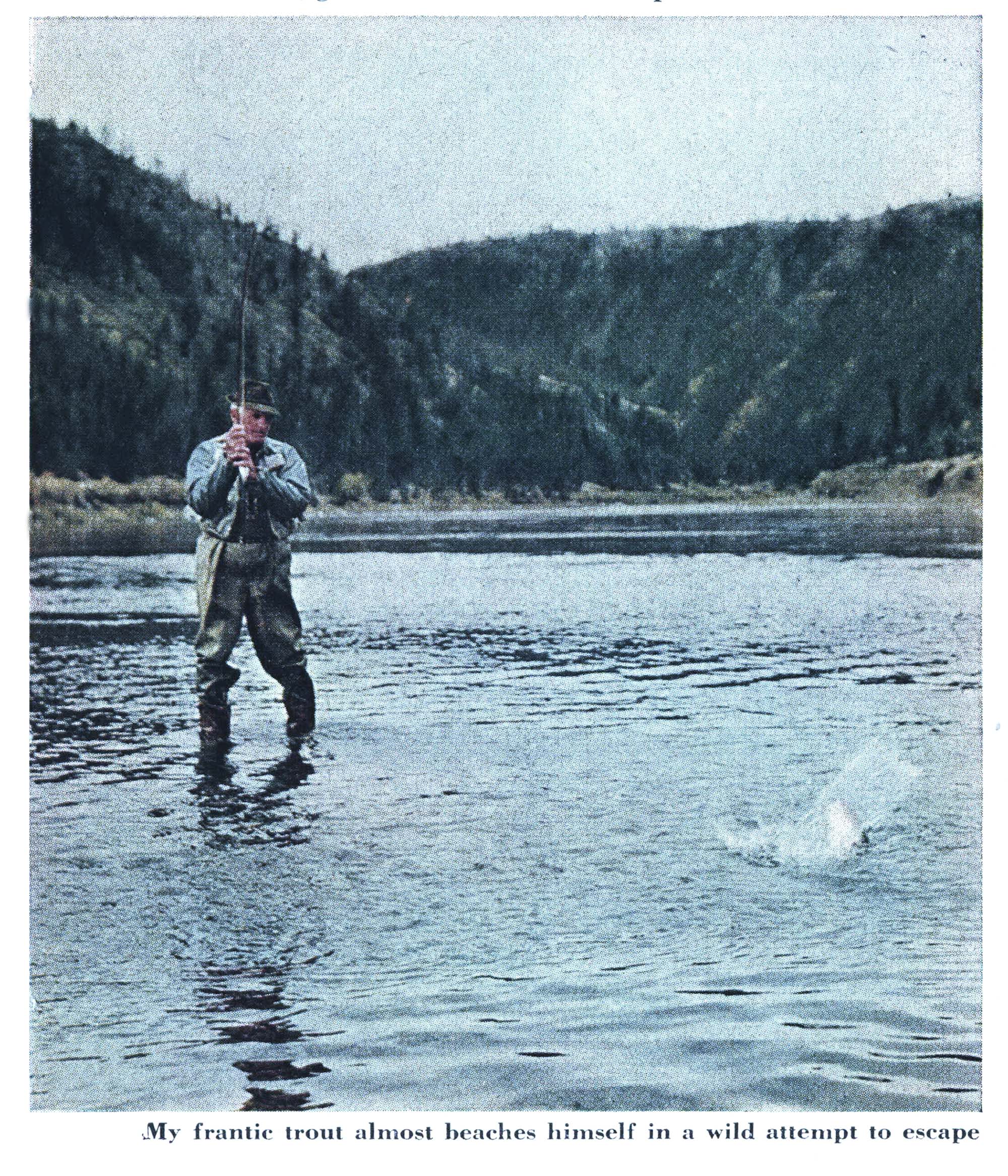 A vintage color photo of a trout on the Missouri river.