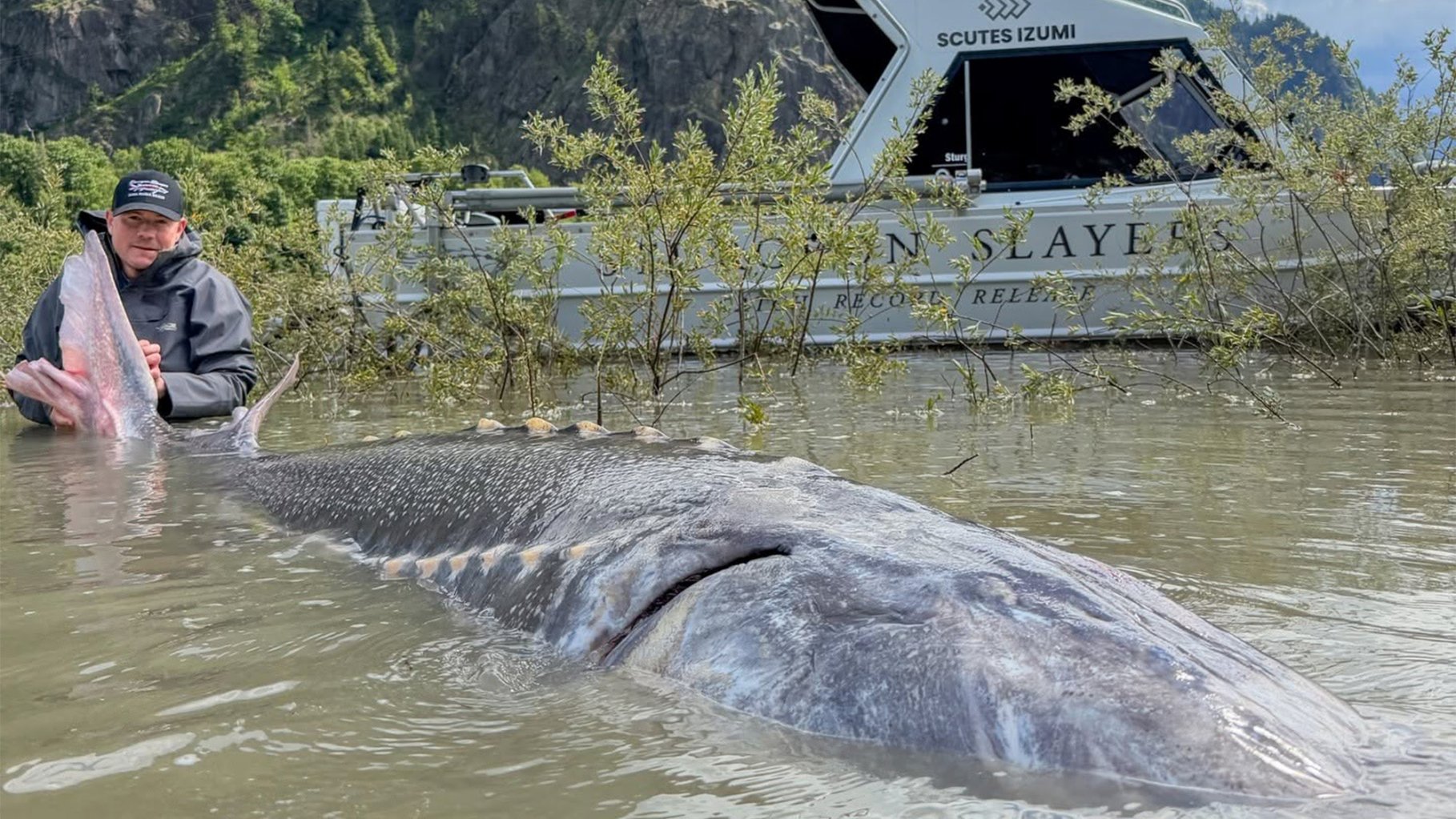 A fishing guide with an enormous white sturgeon.