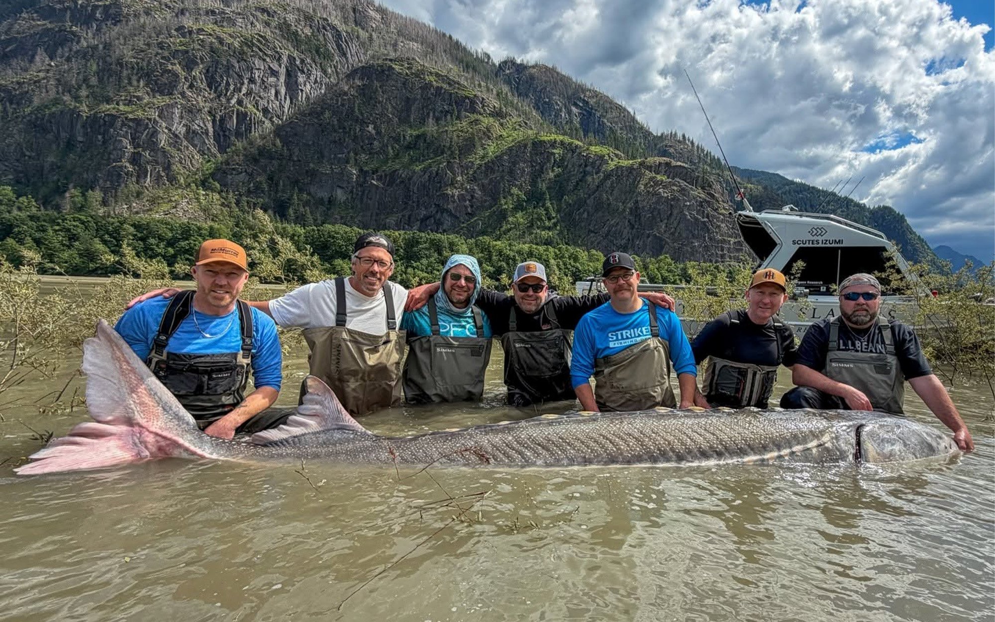 A group of fishermen with a white sturgeon that measured more than 11 feet long.