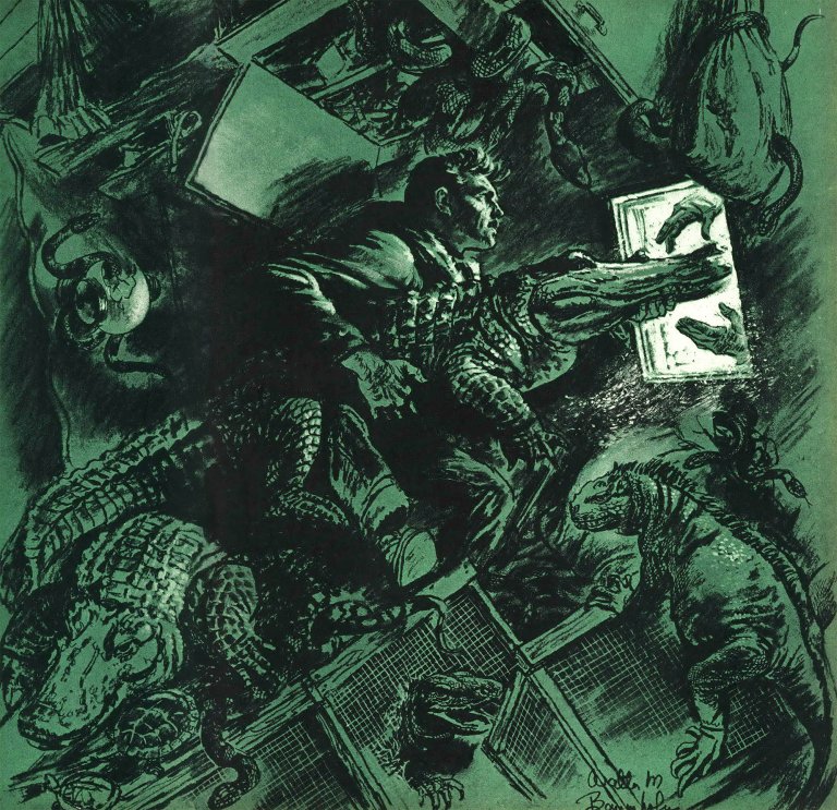A green illustration of a man rescuing reptiles from the inside of an overturned trailer.