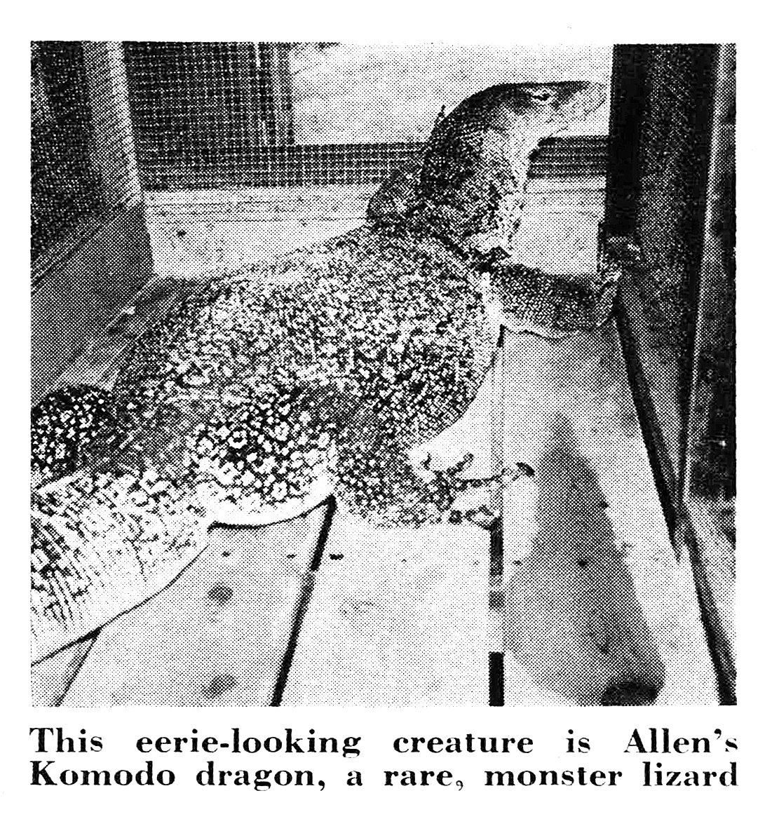 An old black and white film photo of a komodo dragon.