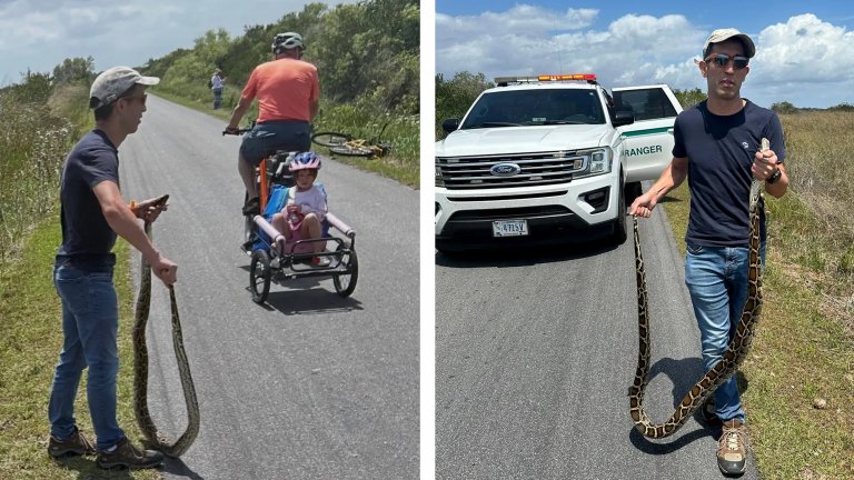 A Florida man holds a python in Everglades National Park.
