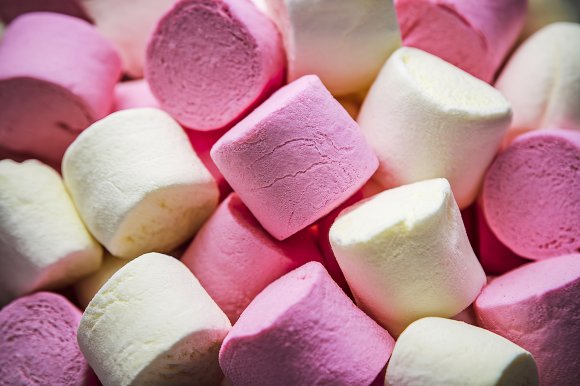 marshmallows cna make good bait.