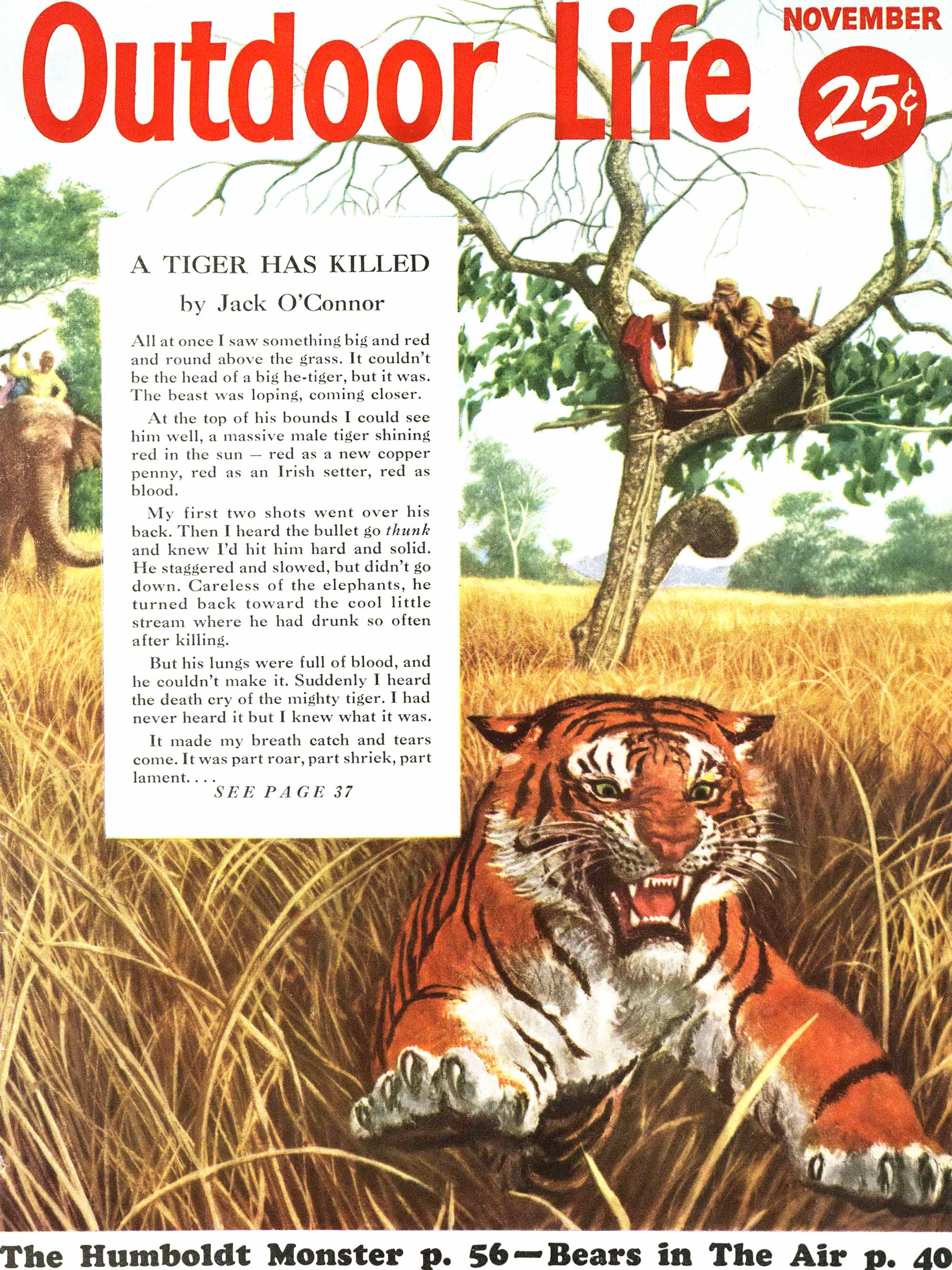The November 1955 cover of OL featured a tiger.