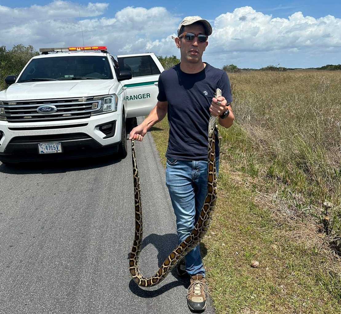 Florida Desperately Wants to Eradicate Its Pythons. So Why Was This Man ...