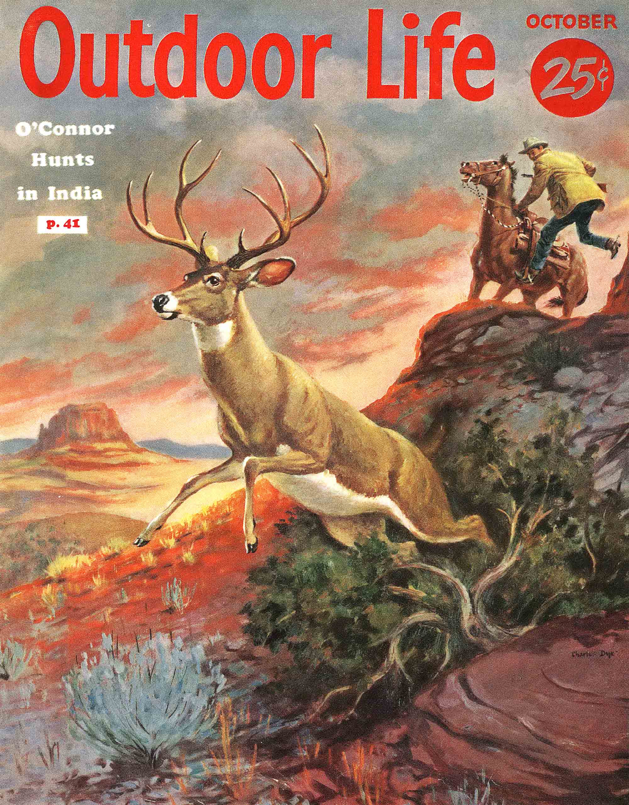 October 1955 mule deer cover outdoor life