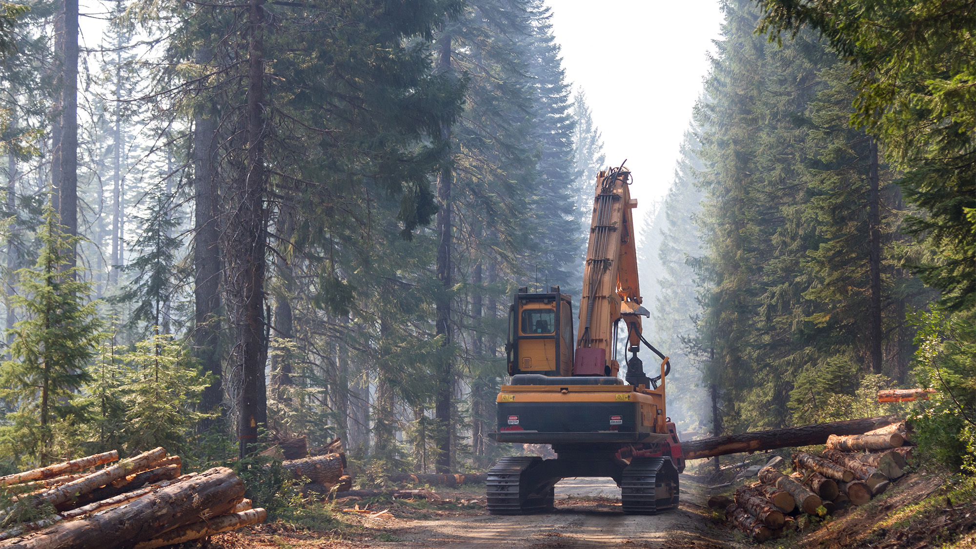 Environmentalists Use Congress’ Own Public-Land Loophole to 