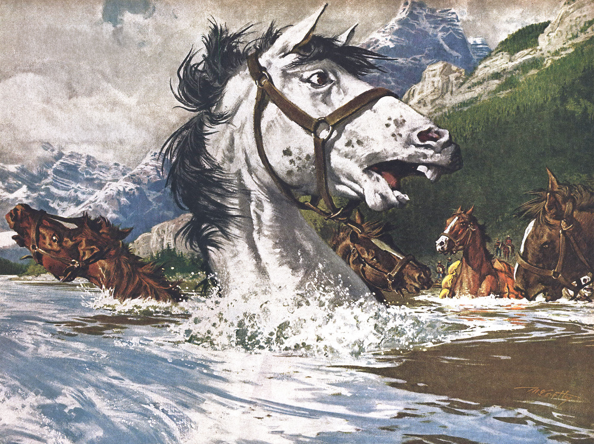 The Smartest Packhorse We Ever Had Was A