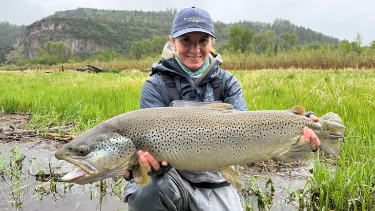 An angler holds up a massive brown trout in Idaho.