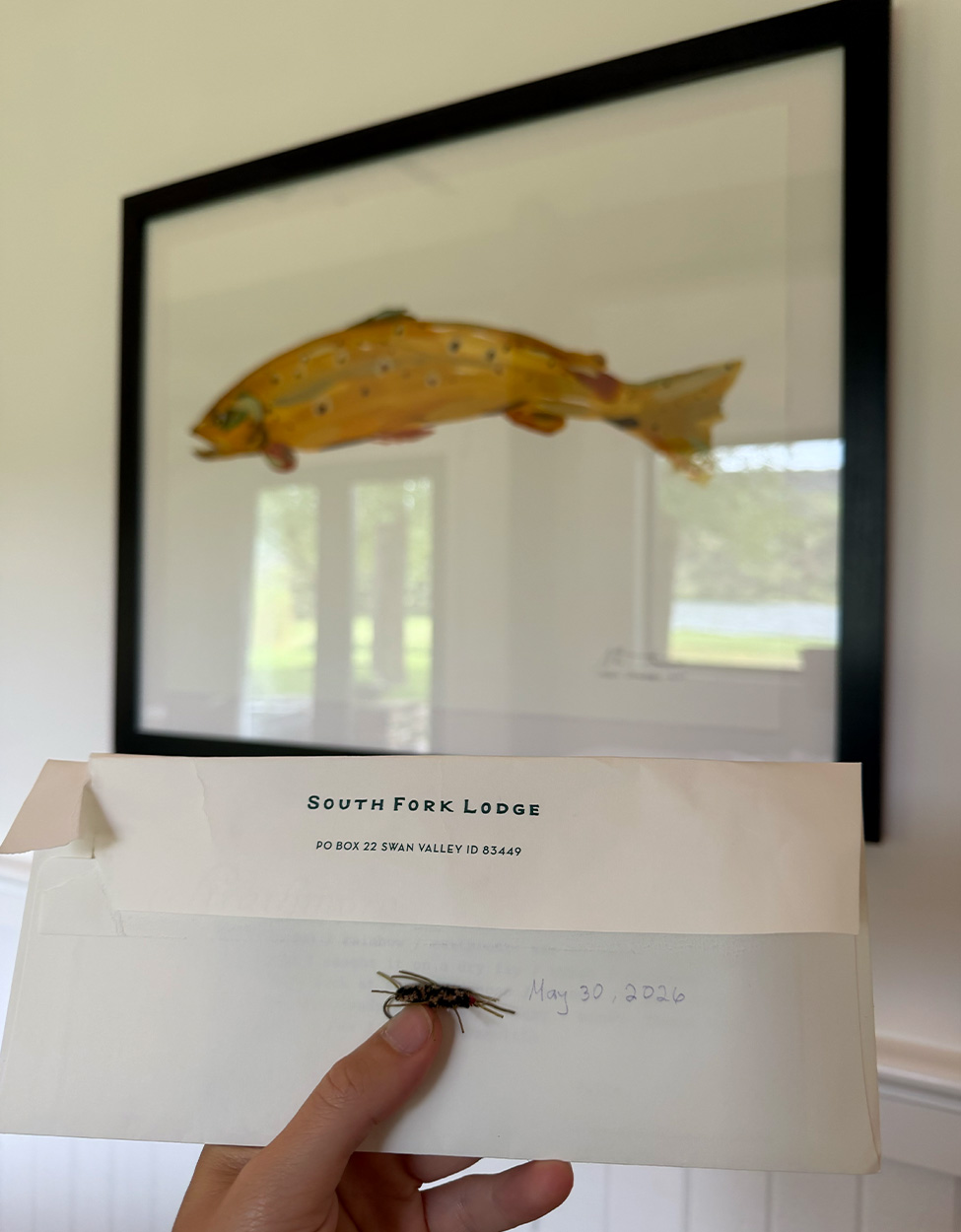 A rubberlegs fly held up with a brown trout painting in the background.