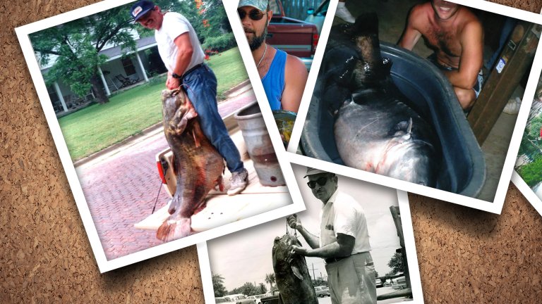 A collection of photographs of record North American catfish.