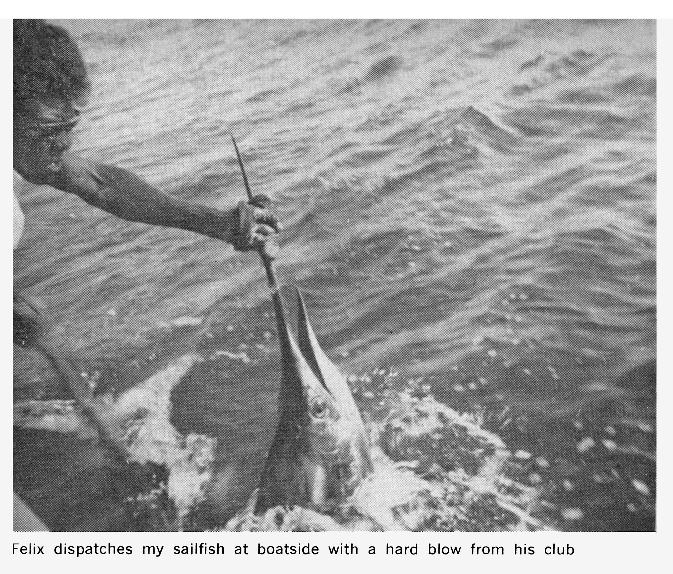 A black and white photo of a fisherman grabbing the bill of sailfish boatside.
