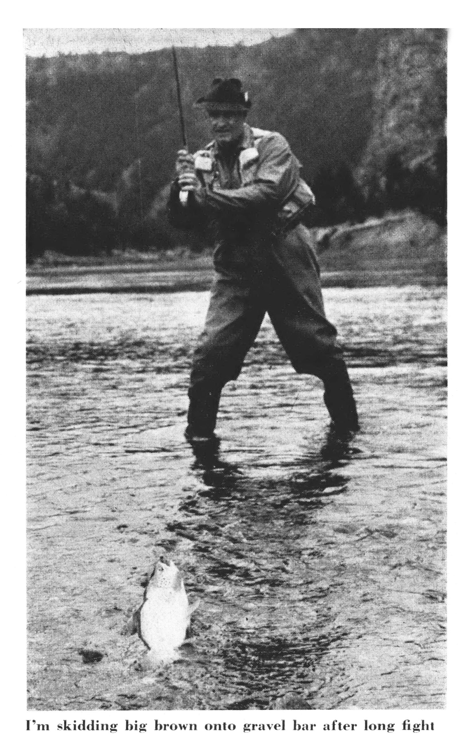 A vintage black and white photo of a fisherman catchign trout.
