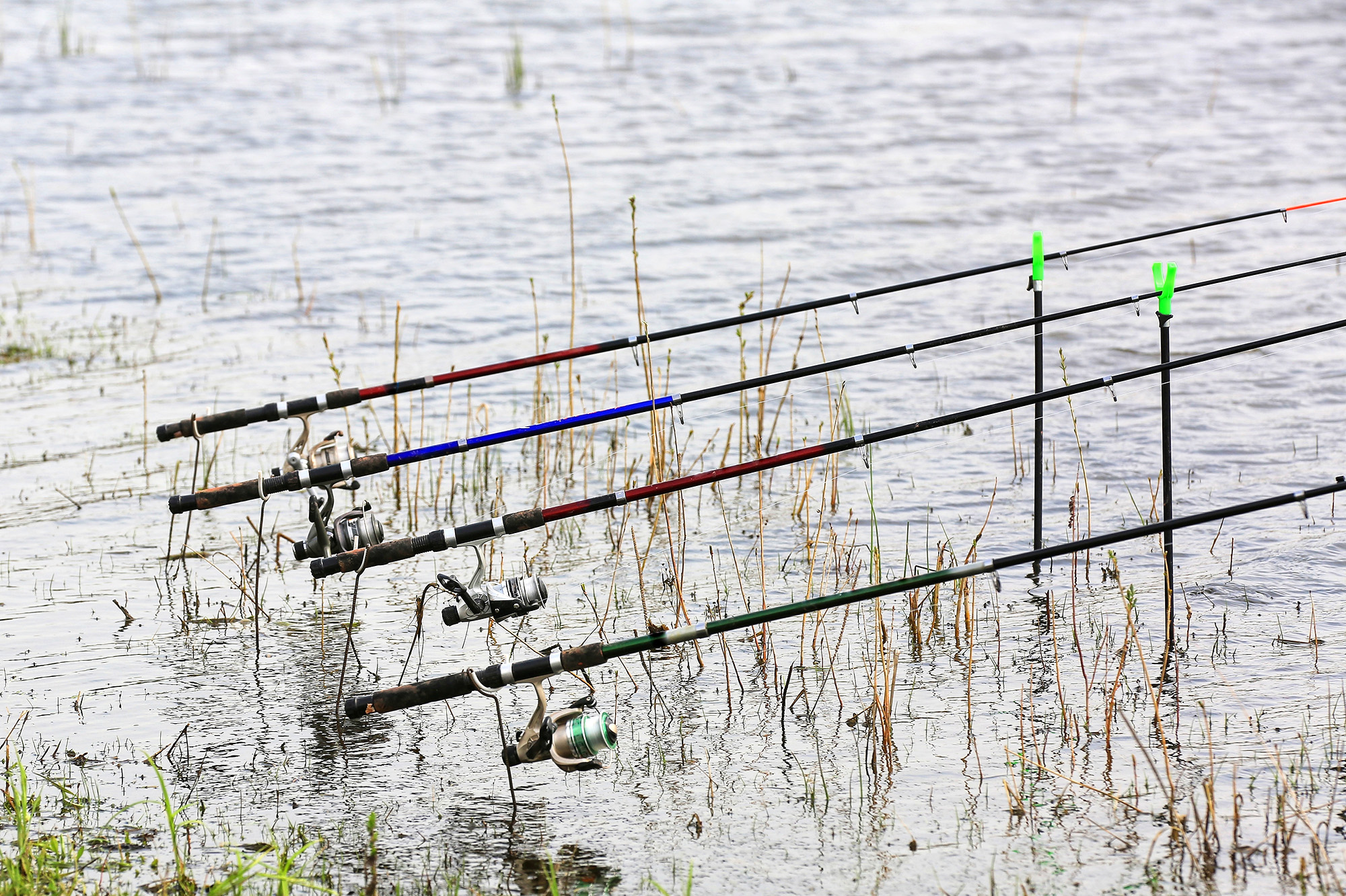 fishing rods on the river