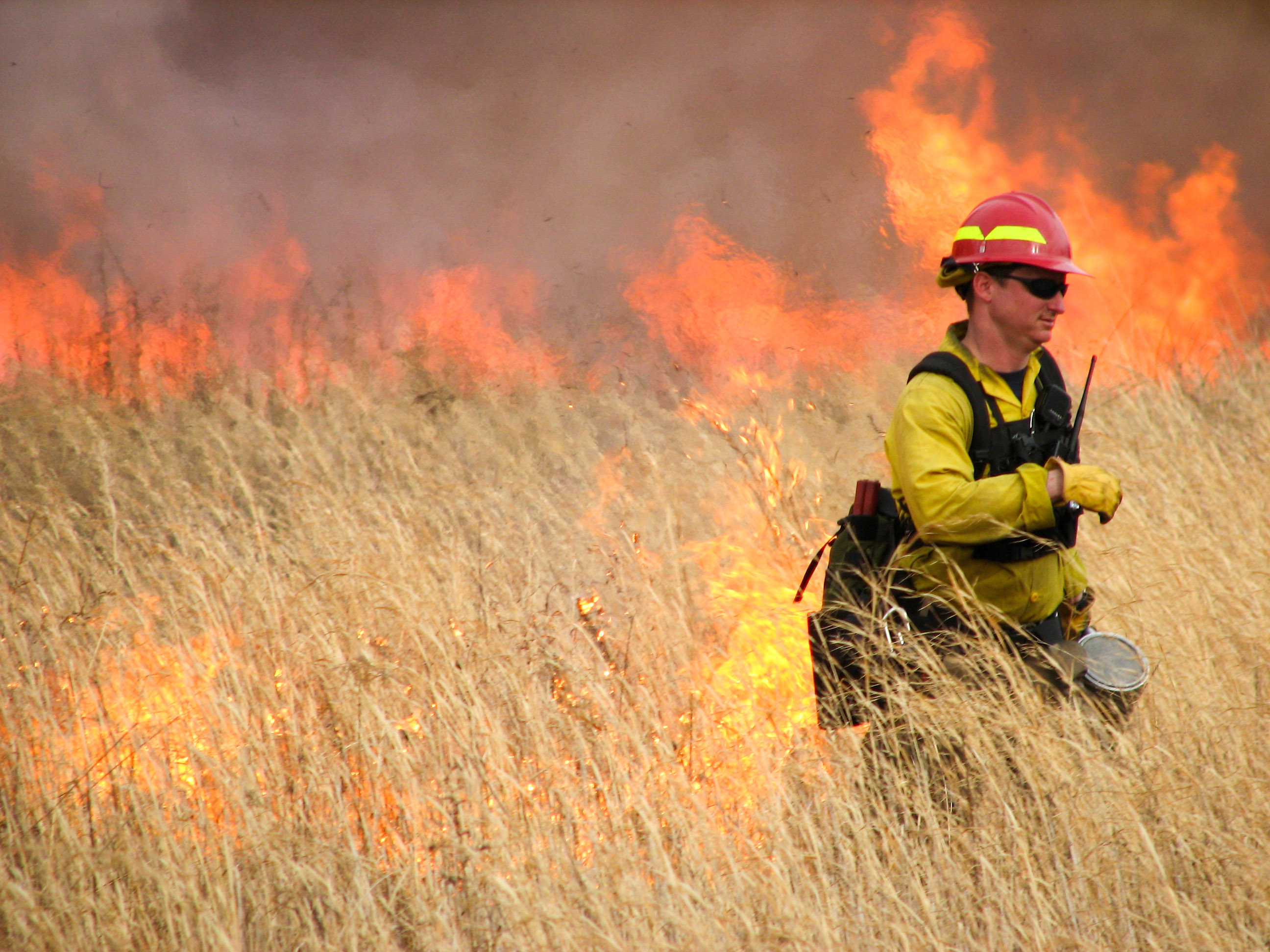 A controlled burn