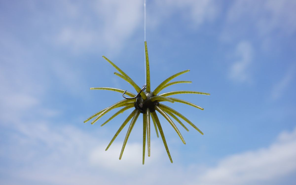 This Weird Bass Bait Is Fetching Absurd 