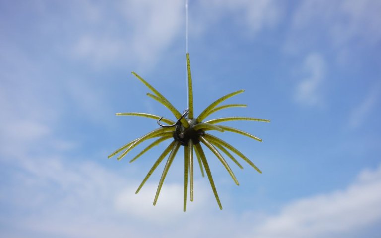An urchin style bass bait