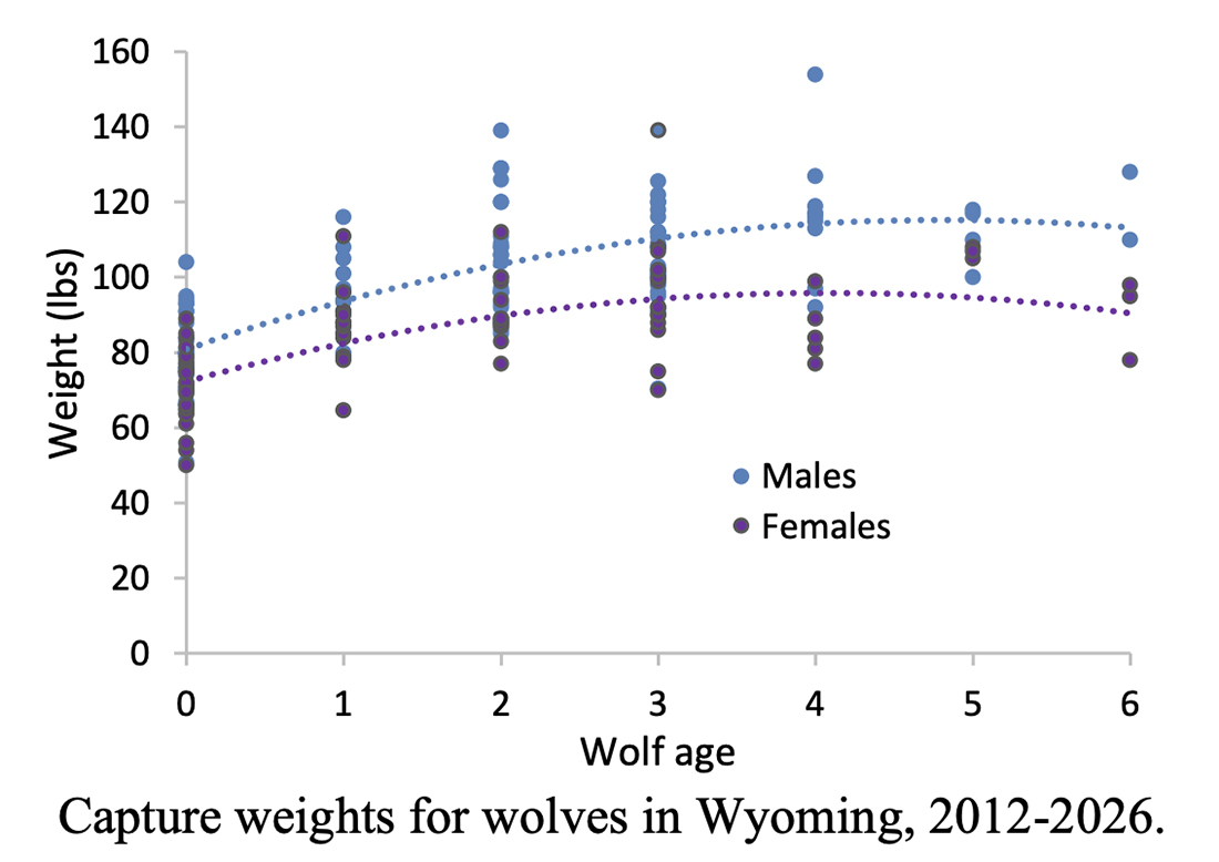 A chart showing wolf weights