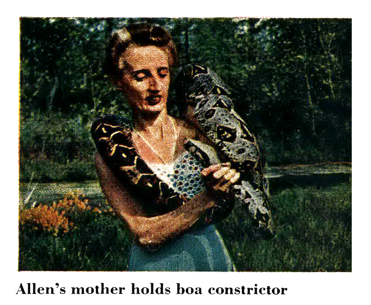 A film color photo of Ruth Allen handling a boa constrictor at snake's alive