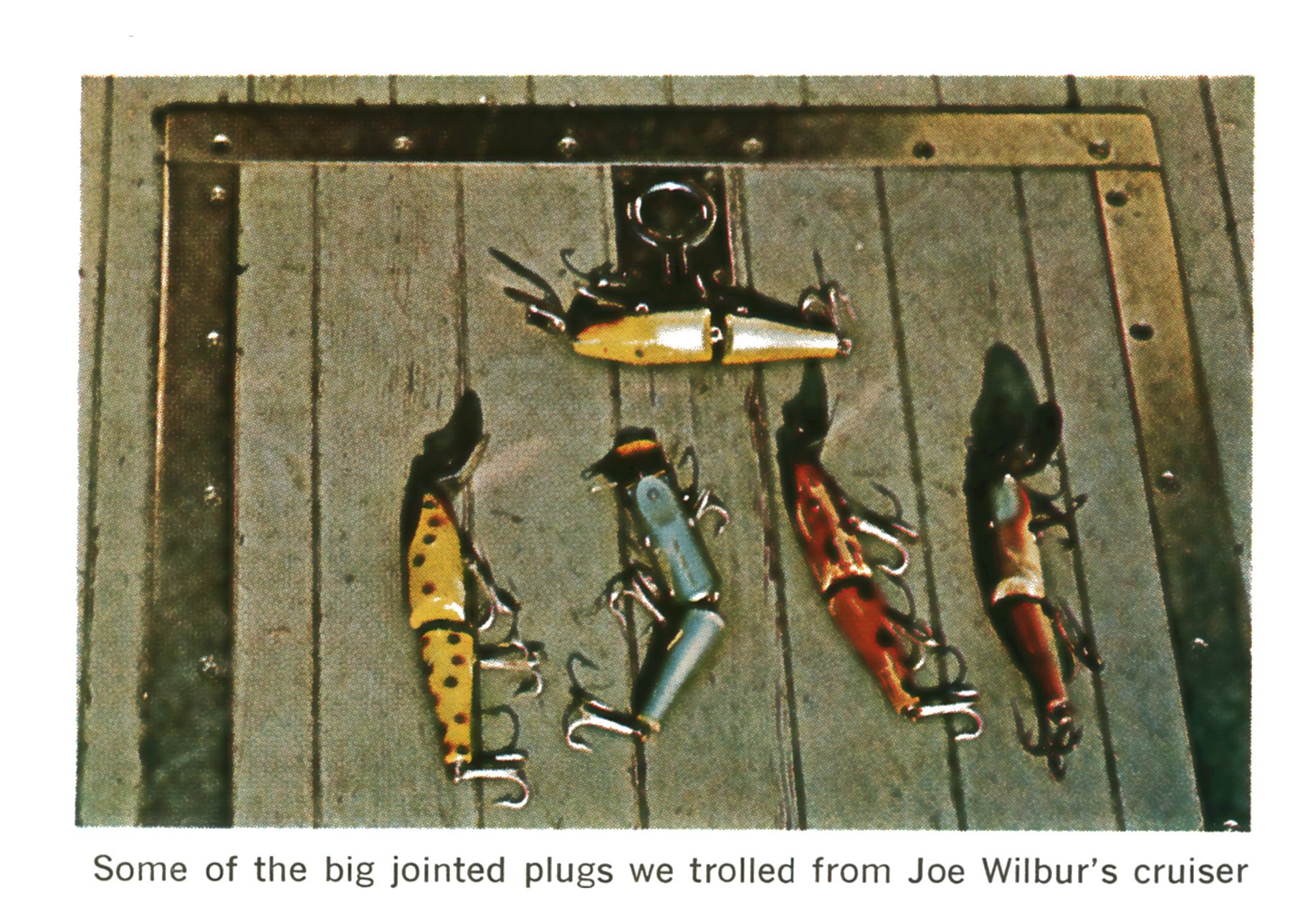 Five large jointed muskie plugs in yellow, blue and red laid out on the weathered wooden deck of a boat.