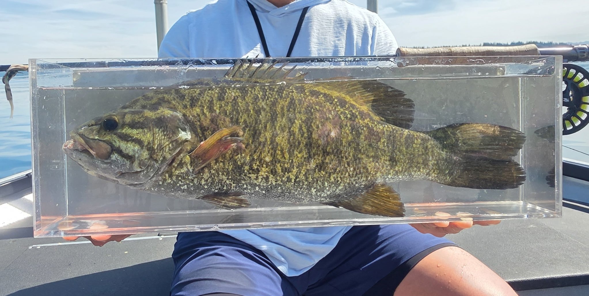 record smallmouthPhoto courtesy Chris Senyohl.