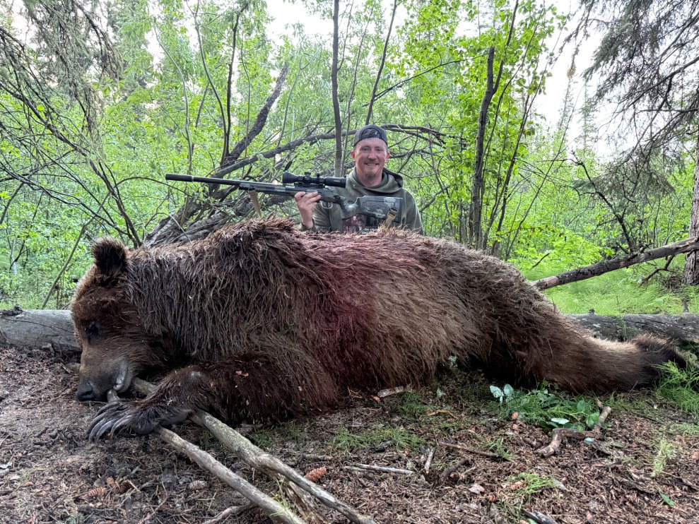 The Truth About Shooting Big Bears with Small Cartridges