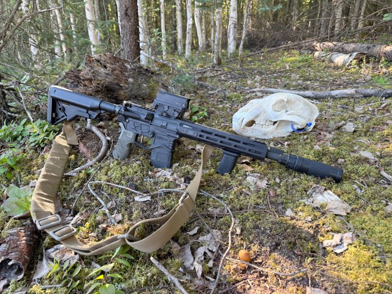 AR15 with bear skull