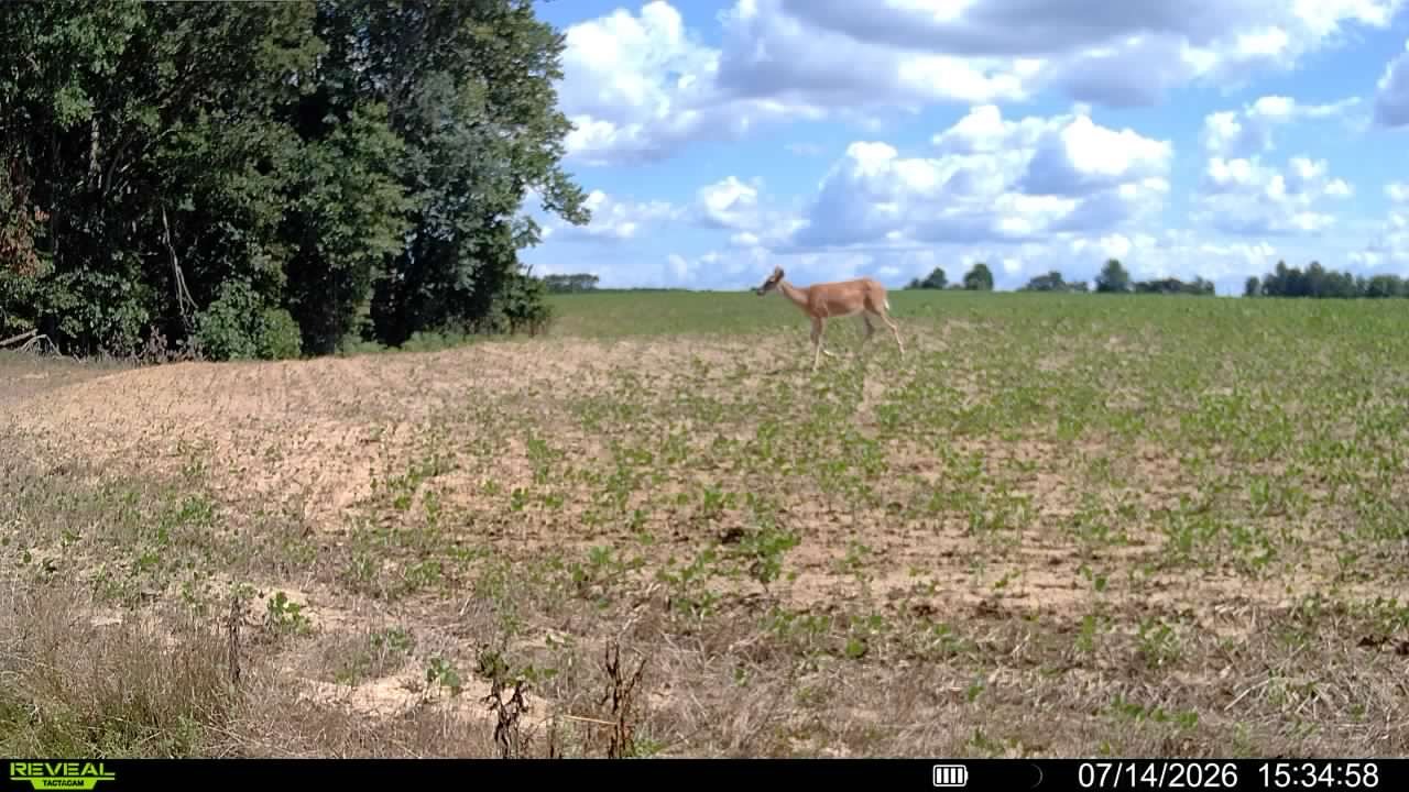 In the field