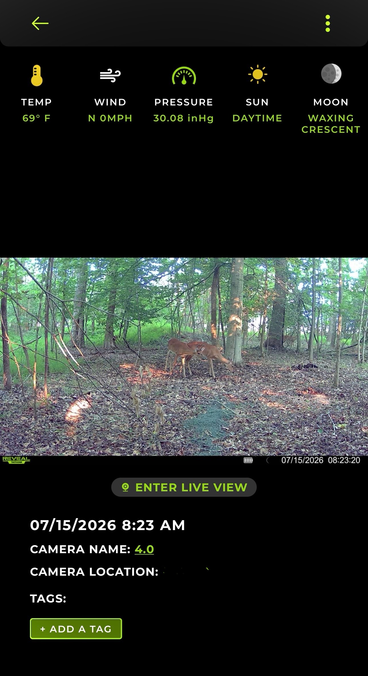 A look at the app