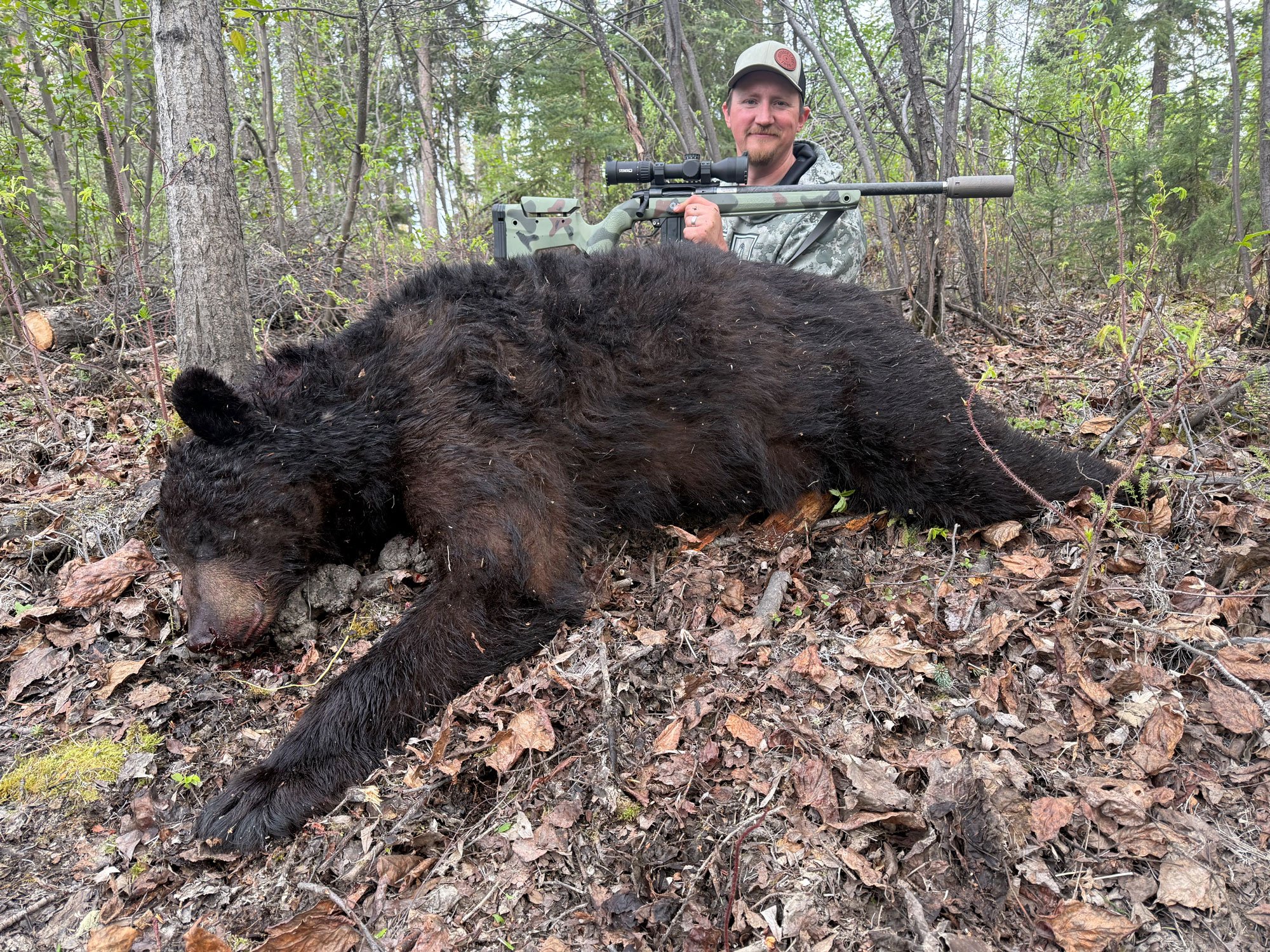 Freel big black bear 22 ARC