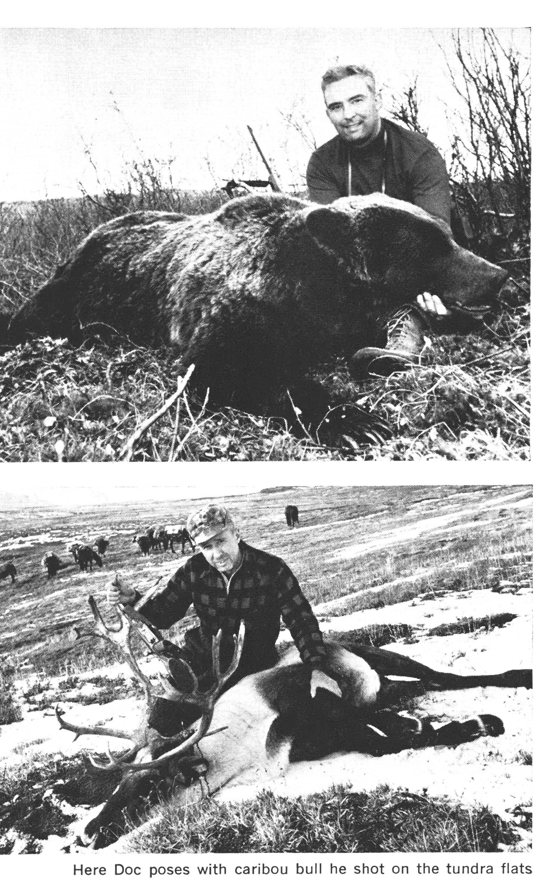 caribou and grizzly bear hunting