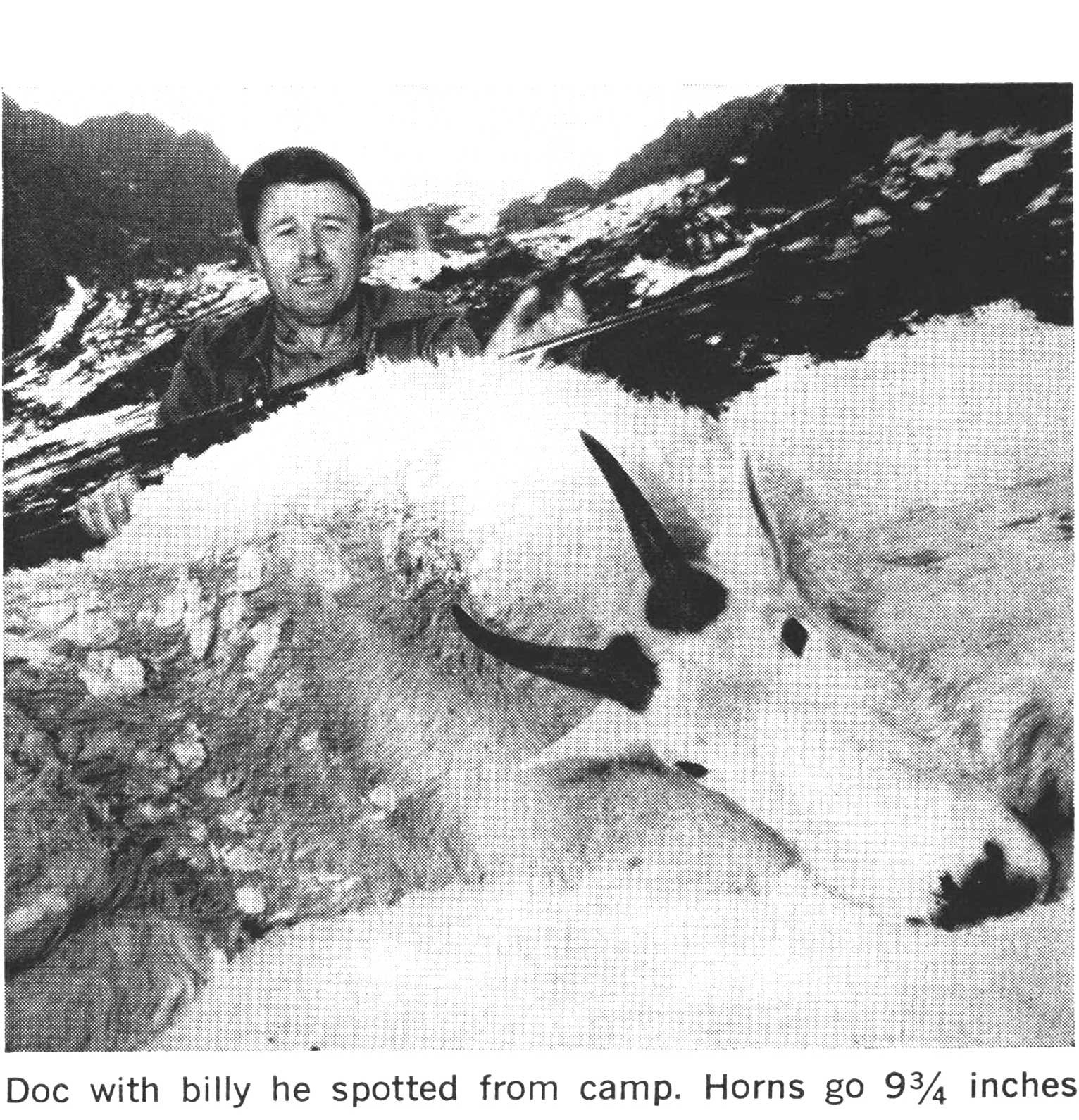 mountain goat hunting