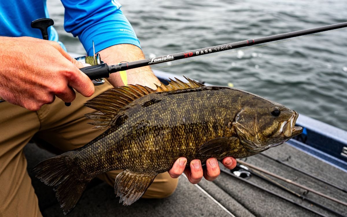 smallmouth bass