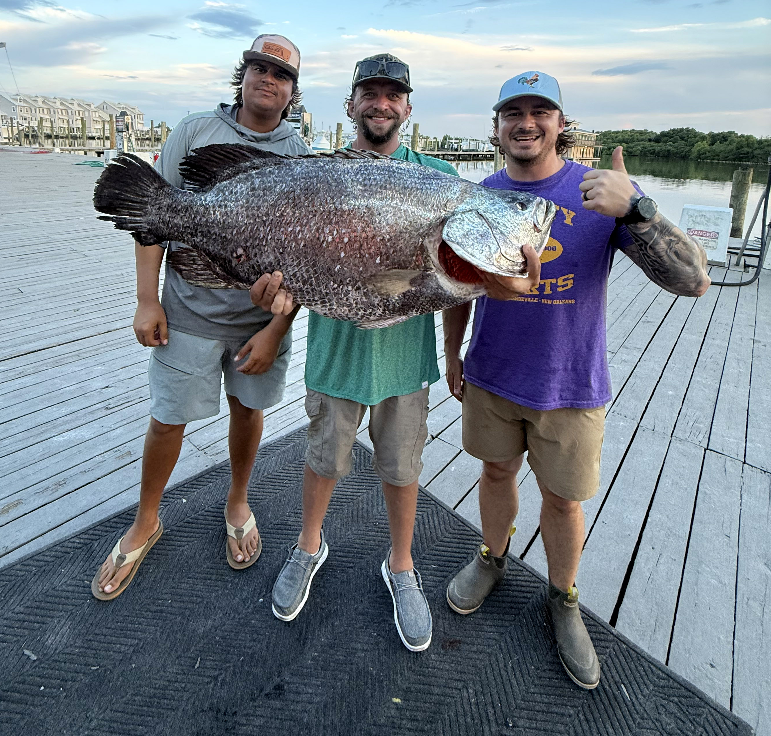 A Louisiana fisherman holds up a big blackfish or tripletail with Kyle Landry in Venice
