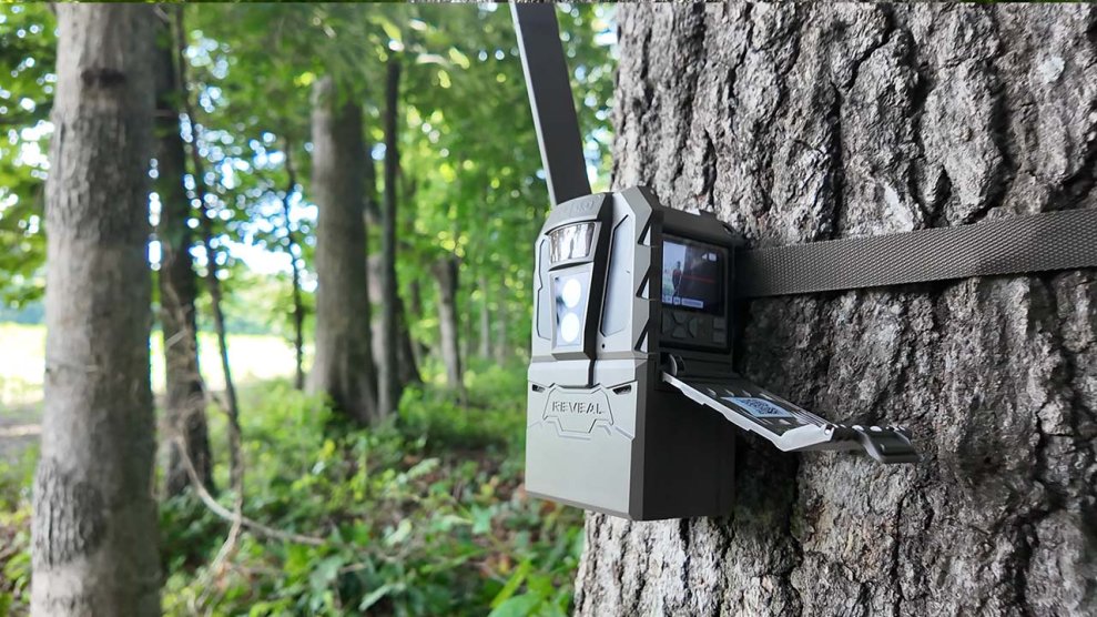 Tactacam Reveal Pro 4.0 Review: Finally Batteries That Last All Season