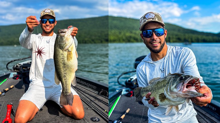 Two photos of a big bass caught on an urchin bait.