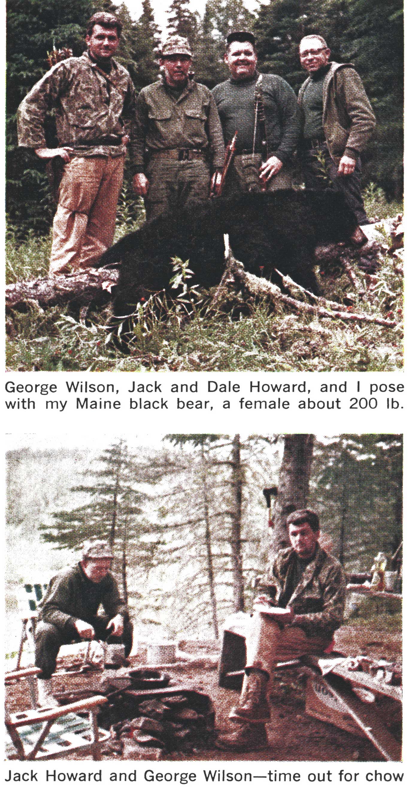 maine bear hunt