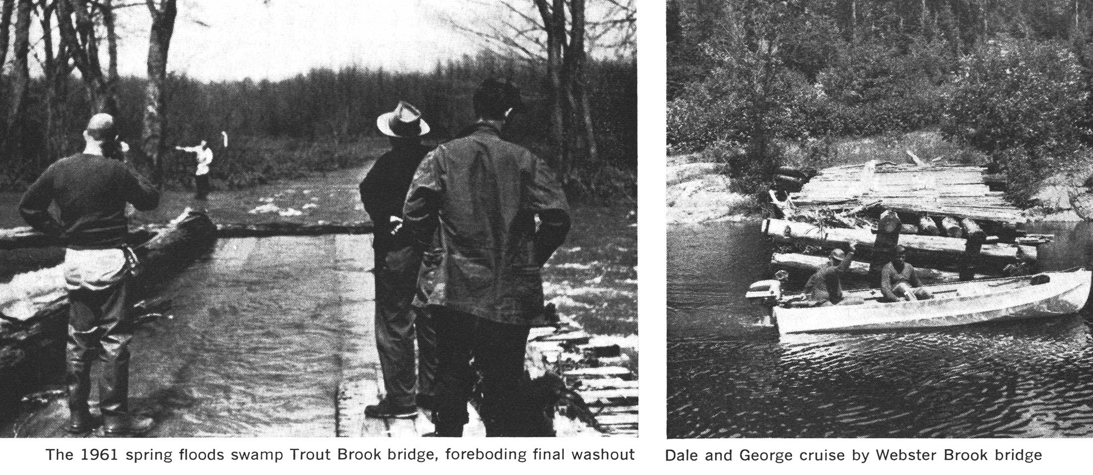 maine bear hunt